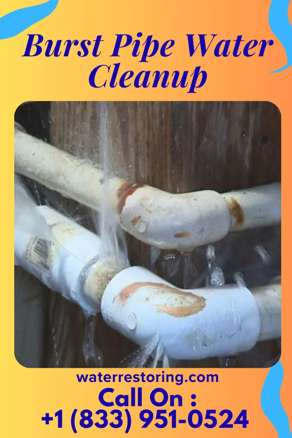 Burst Pipe Water Cleanup in Marissa, IL