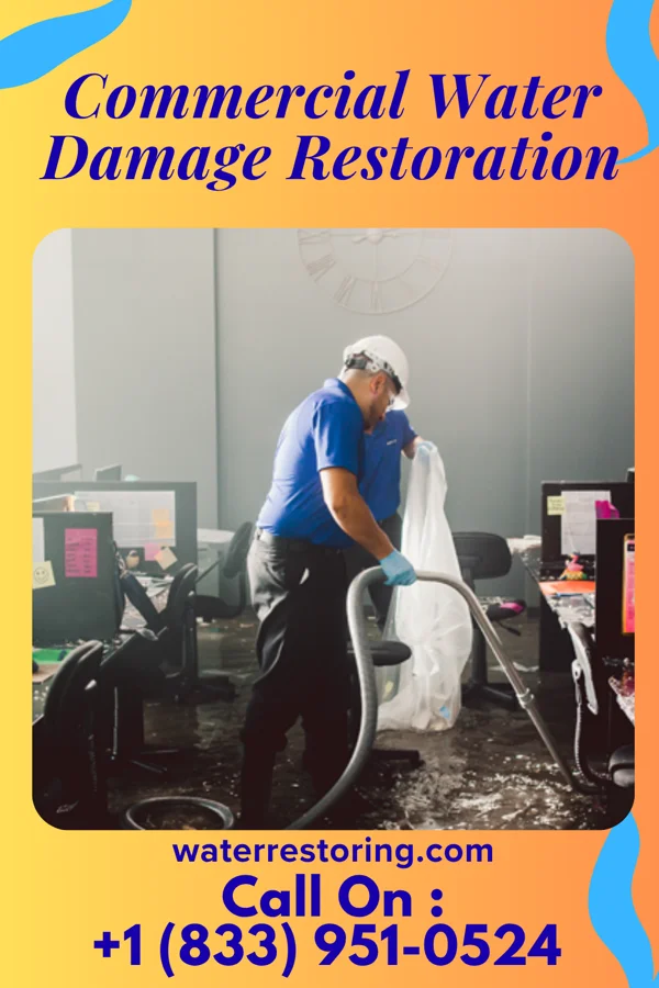Commercial Water Damage Restoration in Marissa, IL
