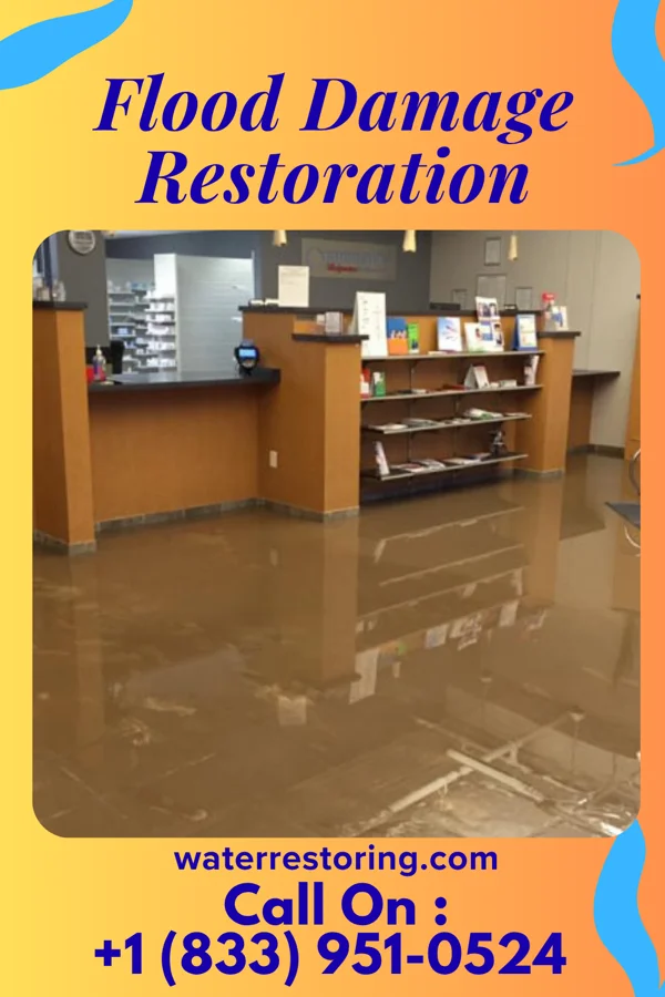 Flood Damage Restoration in Marissa, IL