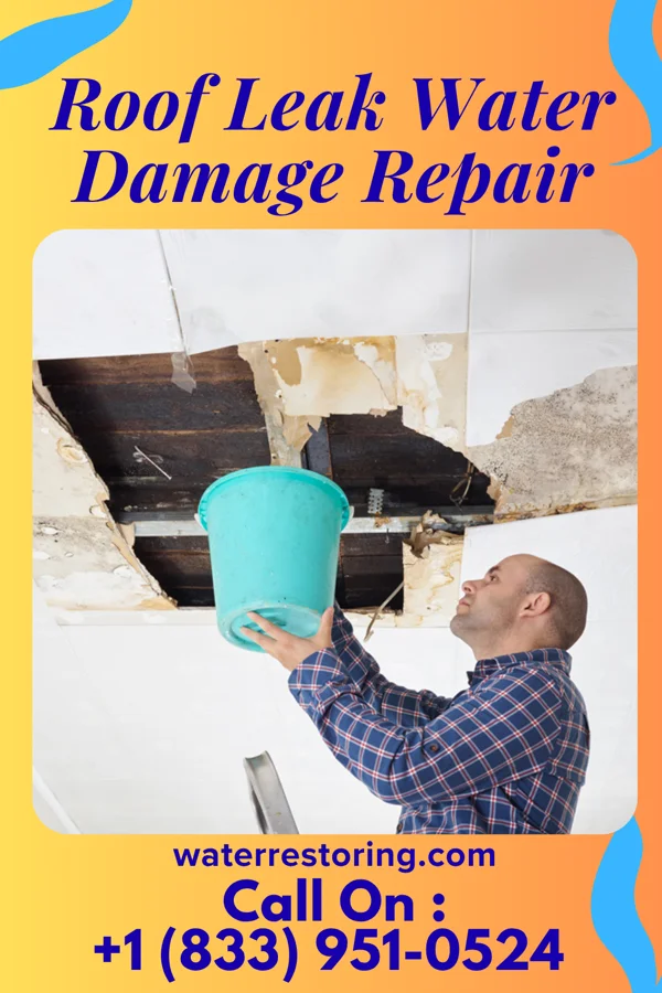 Roof Leak Water Damage Repair in Marissa, IL