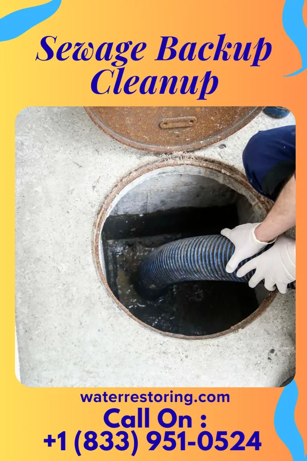 Sewage Backup Cleanup in Marissa, IL